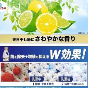 日本Ariel除菌＋抗菌液體洗衣精【本體】690g