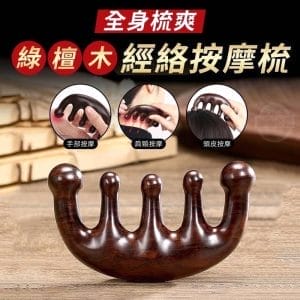 全身梳爽綠檀木經絡按摩梳1 » 樂韜國際 - 票券販售、生活百貨、各國代購、批發零售 全身梳爽綠檀木經絡按摩梳