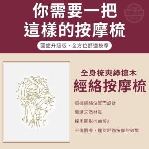 全身梳爽綠檀木經絡按摩梳2 » 樂韜國際 - 票券販售、生活百貨、各國代購、批發零售 全身梳爽綠檀木經絡按摩梳